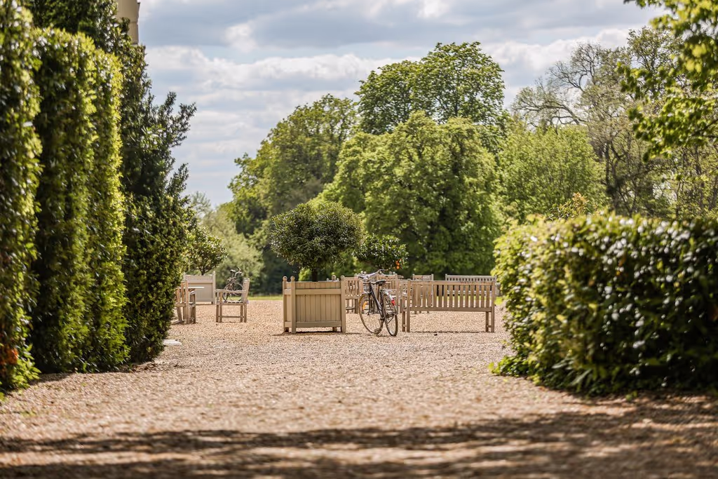 Bicycles in the château park