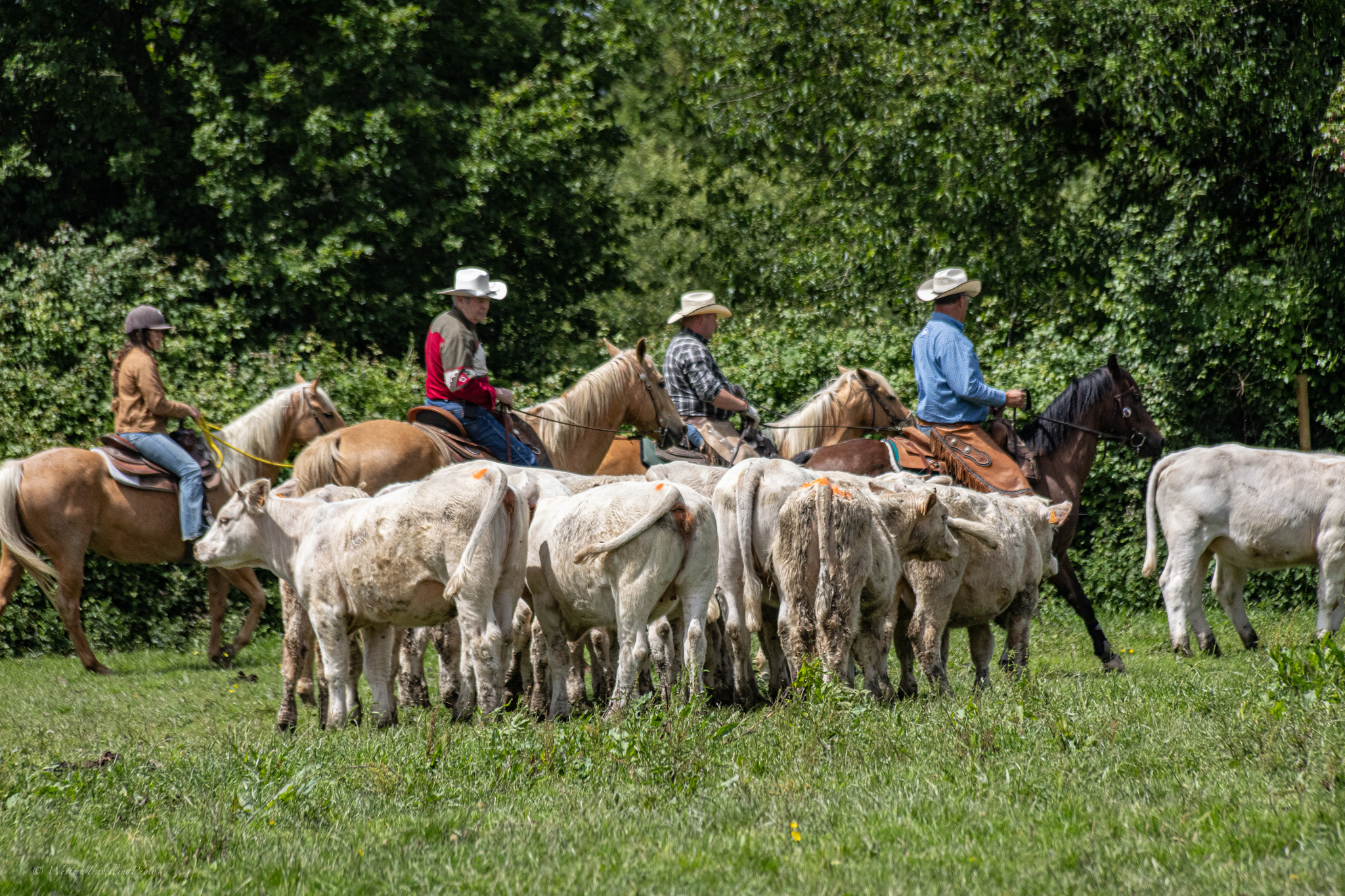 Western riding